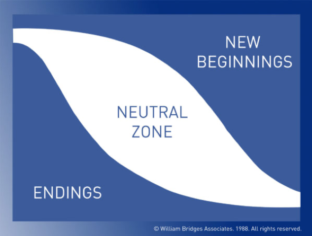 http://3gomyw1lidx92e7kx5y0zo42-wpengine.netdna-ssl.com/wp-content/uploads/2020/01/Bridges-Transitions-Model-copyright-600x454.jpg